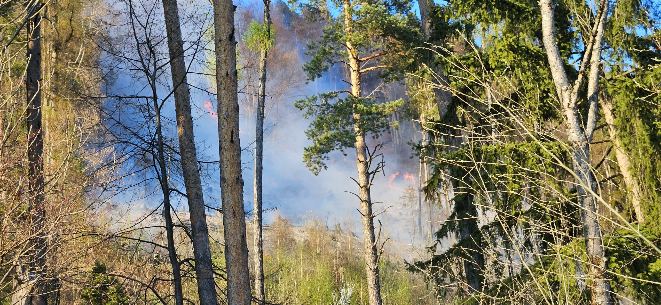 Waldbrand am Tabor in Finkenstein – Unterstützung mit MRAS-Ausrüstung
